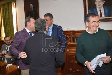 Pleno ordinario de enero de 2020 (Foto TA)